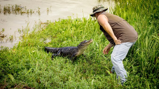 Airboat Ride with Transportation from New Orleans - Captains and drivers: why the human factor changes everything