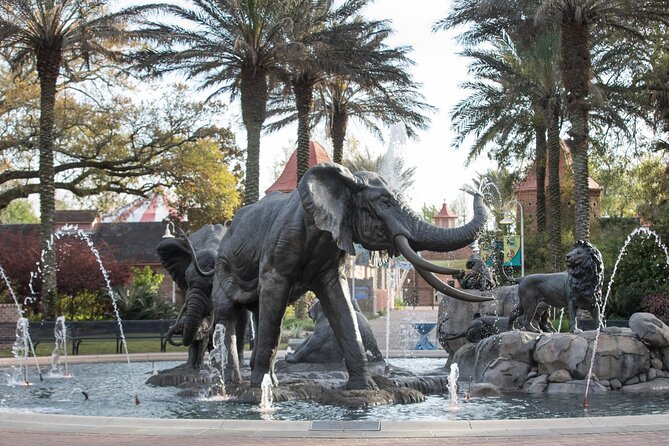 Audubon Zoo Ticket - Key things to know before you go