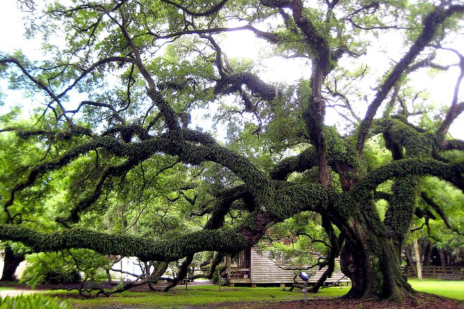 Destrehan Plantation Tour - The 1811 Slave Revolt: what to look for in the exhibit