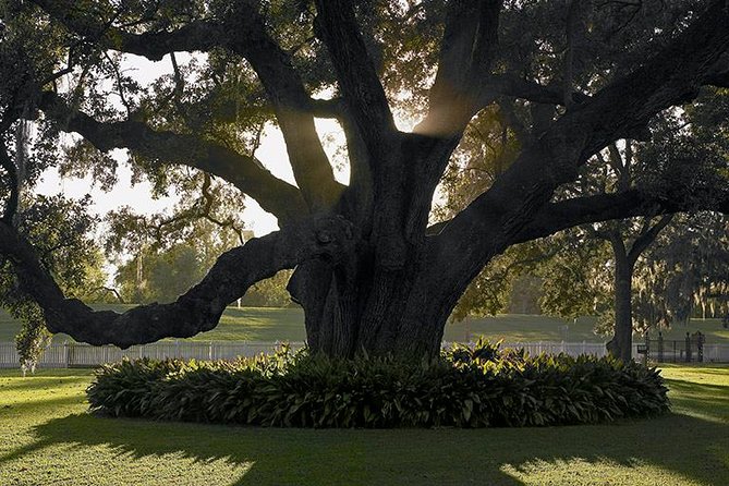 Destrehan Plantation Tour - The guide’s role: period costume and strong storytelling