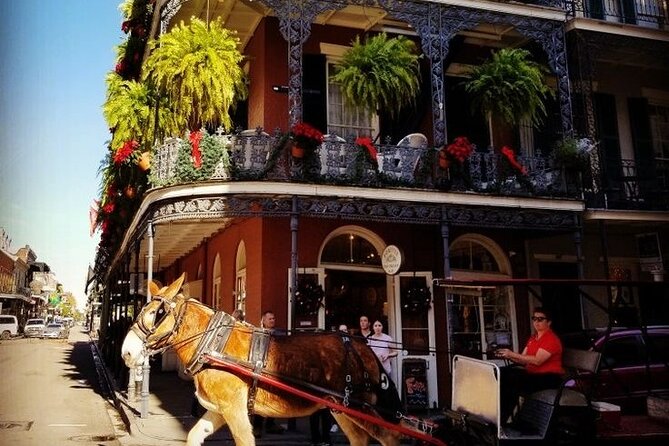 French Quarter Tour with Local Guide and Creole Stories - Key Things You’ll Appreciate on This French Quarter Creole Tour
