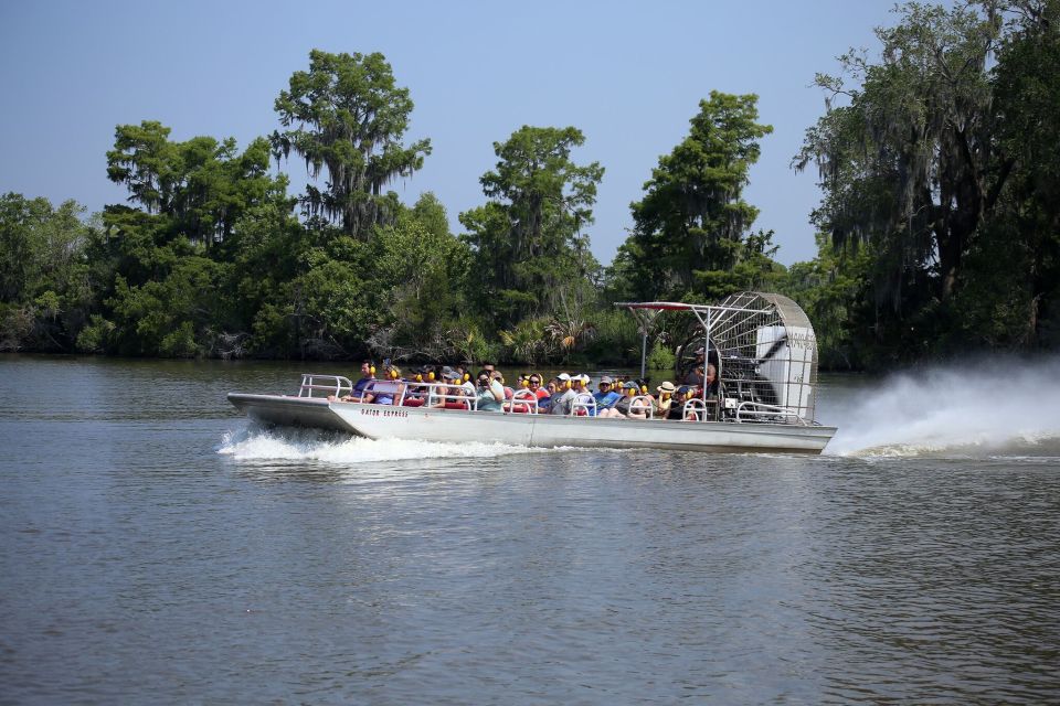 From Lafitte: Swamp Tours South of New Orleans by Airboat - The ride: open-water speed plus tight canal turns