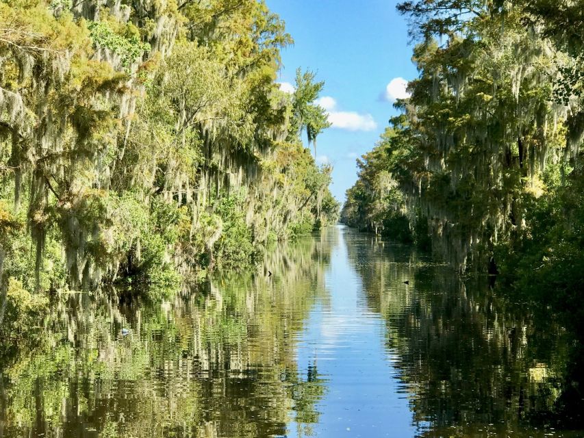 From Lafitte: Swamp Tours South of New Orleans by Airboat - Wildlife spotting: gators, turtles, birds, and the fun surprises