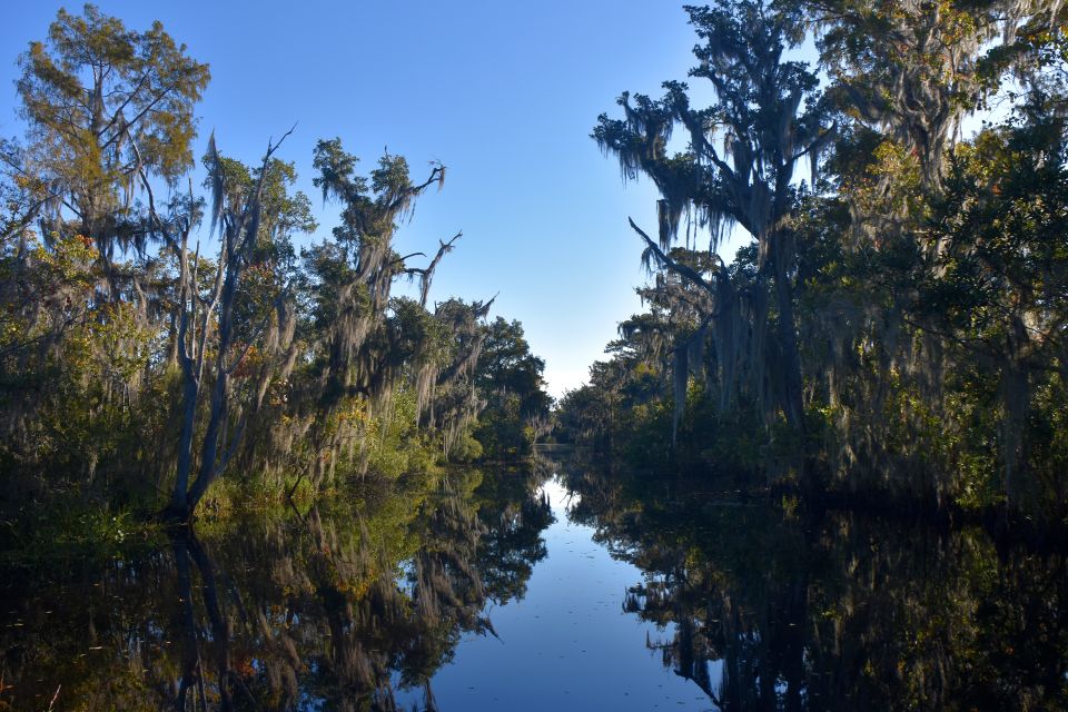 From Lafitte: Swamp Tours South of New Orleans by Airboat - What to wear on a fast, open-air boat (and why timing matters)