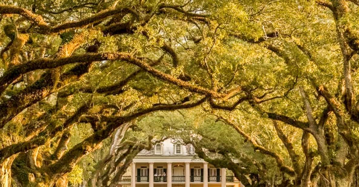 From New Orleans: Oak Alley Plantation Tour - Two hours to breathe: grounds time, shopping, and self-guided wandering