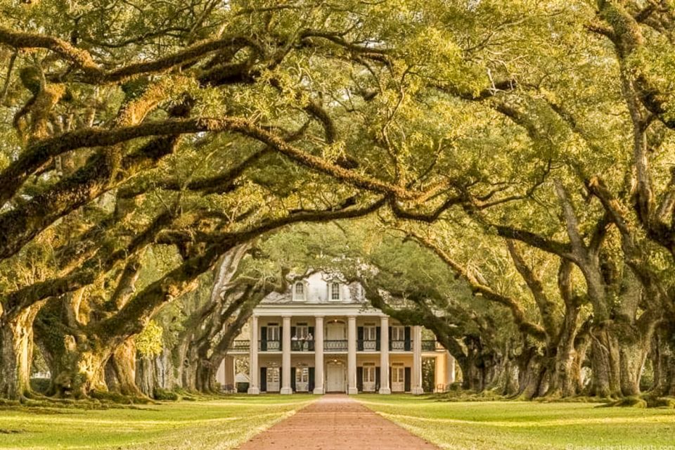 From New Orleans: Oak Alley Plantation Tour - Time, sound, weather, and the common gotchas