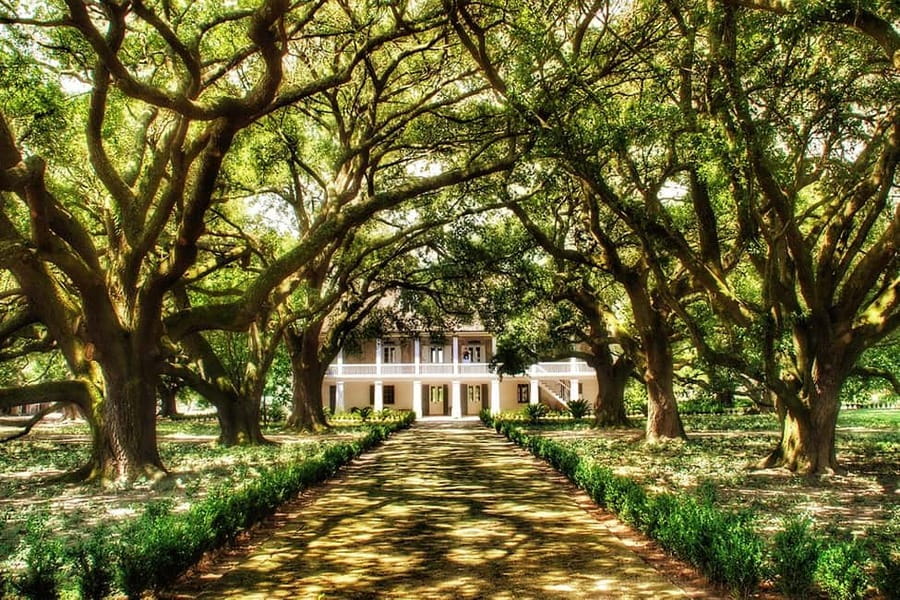 From New Orleans: Whitney Plantation Ticket & Transportation - On-site flow: how the day feels once you arrive