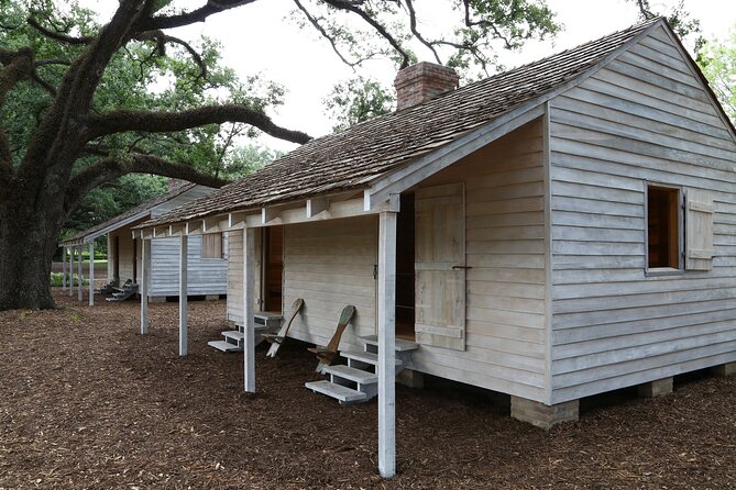 Full Day Plantation and Swamp Tour in New Orleans - Key Highlights You’ll Feel Immediately