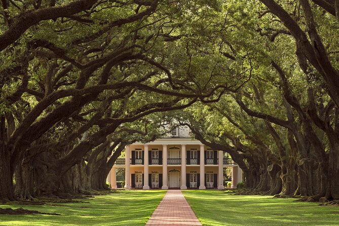 Full Day Plantation and Swamp Tour in New Orleans - The Easy Two-for-One: Oak Alley and a Bayou Swamp Cruise