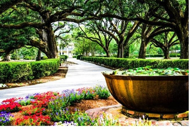 Garden District History and Homes Walking Tour - Key highlights worth knowing before you go