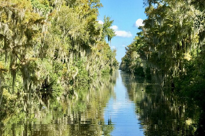 Guided Boat Tour of New Orleans Bayou - Pickup, Timing, and Boat Experience: Logistics That Shape Comfort