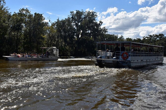 Guided Boat Tour of New Orleans Bayou - Birds, Gators, and the Guide’s Spotlight: What the Commentary Adds