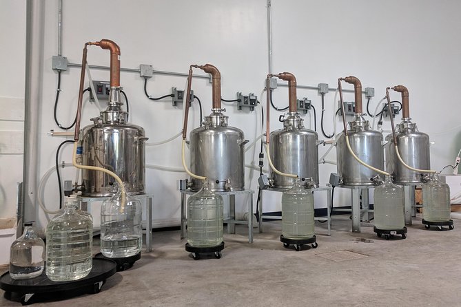 Guided Distillery Tour & Rum Tasting - Should you book Roulaison? The honest call