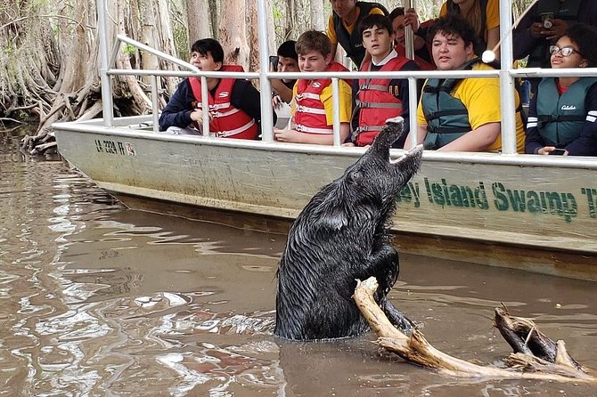 Honey Island Swamp Boat Tour - Swamp stories and Cajun life: how narration shapes the whole ride
