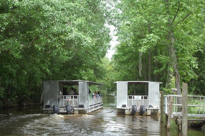 Jean Lafitte 90-Minute Swamp and Bayou Boat Tour - The main cruise: Jean Lafitte National Historical Park and Preserve