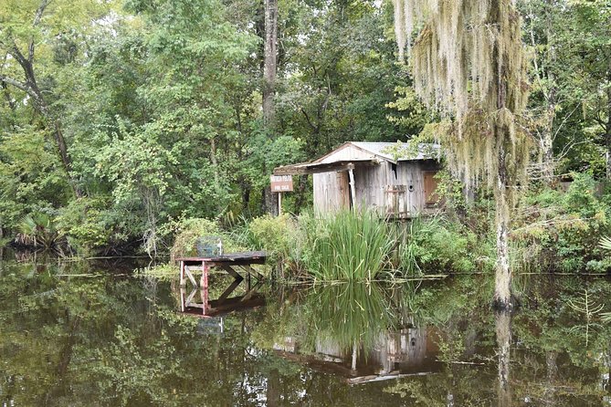 Jean Lafitte 90-Minute Swamp and Bayou Boat Tour - Price and value: $32 for small-group bayou time