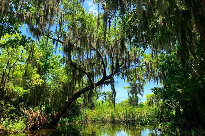 Large Airboat Swamp Tour with Transportation from New Orleans - Barataria Preserve Airboat Ride: The 454 Chevy Thrill (With Real Safety)