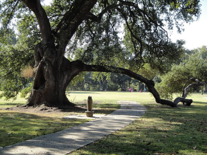 New Orleans: 2-Hour 15-Minute City and Cemetery Tour by Bus - Key things to know before you ride