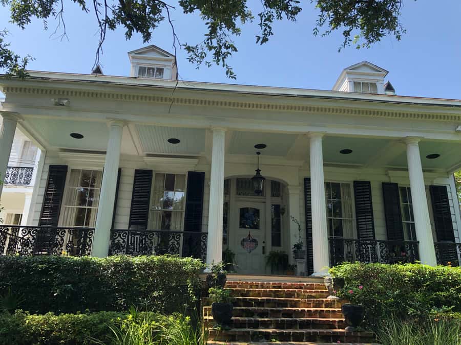 New Orleans: 2-Hour Homes of the Rich & Famous Walking Tour - Architecture and plant life: why the Garden District looks like it does