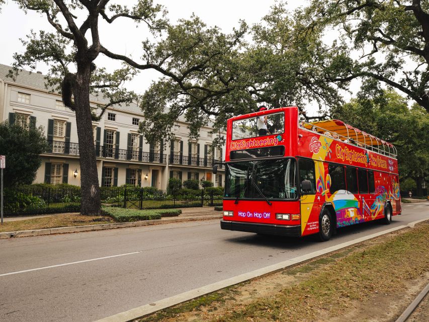 New Orleans: 2 or 3 Day Hop-On Hop-Off Bus with Walking Tour - Key Highlights to Notice