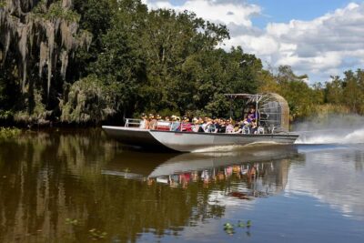 New Orleans Airboat Ride - Small airboat (6–8) versus big one (15–25): what your seat experience changes
