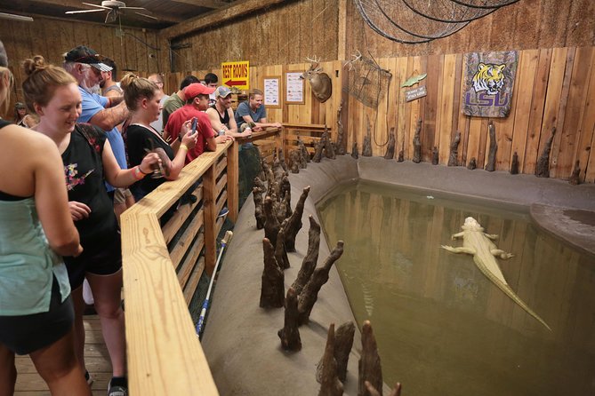 New Orleans Airboat Ride - What to wear: wind, sun, rain, and spotting in winter versus summer