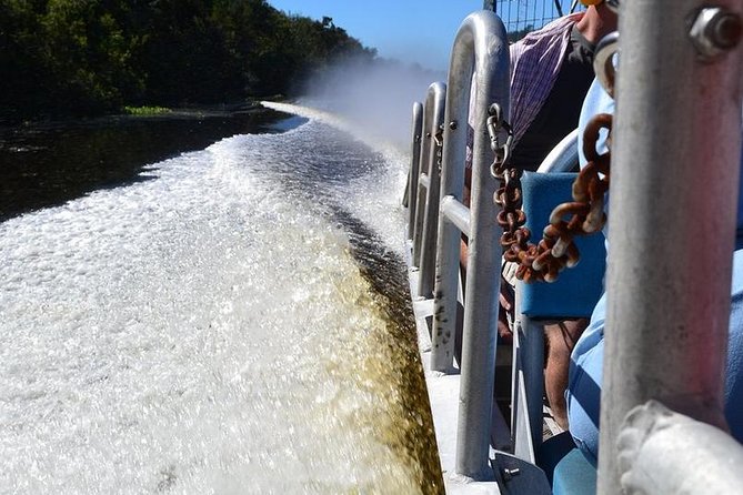 New Orleans Airboat Ride - Is $59 a good value? The value math for a 1.75-hour swamp run