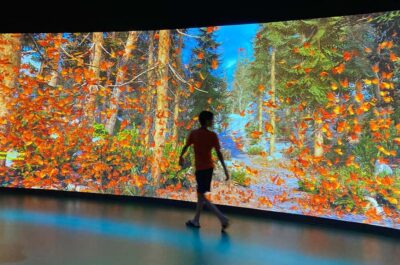 New Orleans: Audubon Aquarium & Insectarium Ticket - The Shark Discovery Touch Pool: Up Close Without the Guesswork