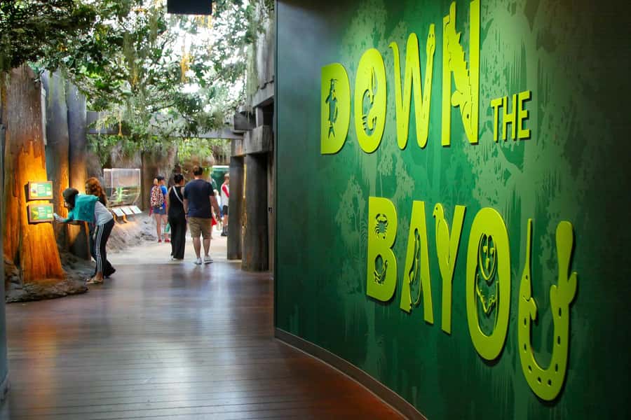 New Orleans: Audubon Aquarium & Insectarium Ticket - Gulf of Mexico Habitat: The Big 450,000-Gallon Centerpiece