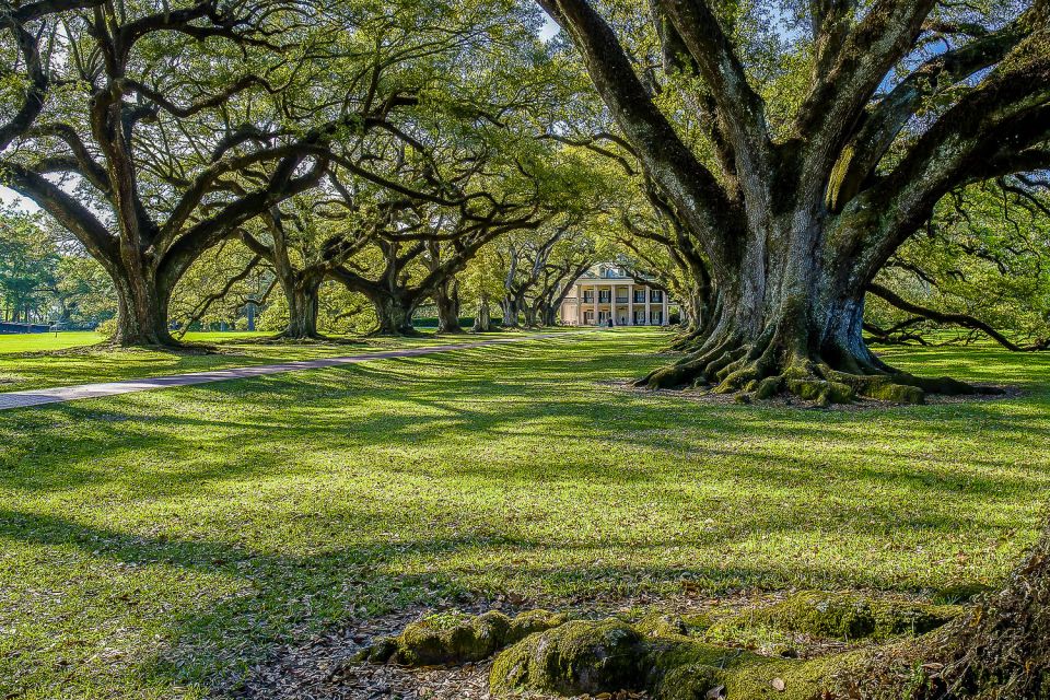 New Orleans: Bayou Swamp Tour and Oak Alley Plantation Tour - Who this combo trip suits best (and who might want a different plan)