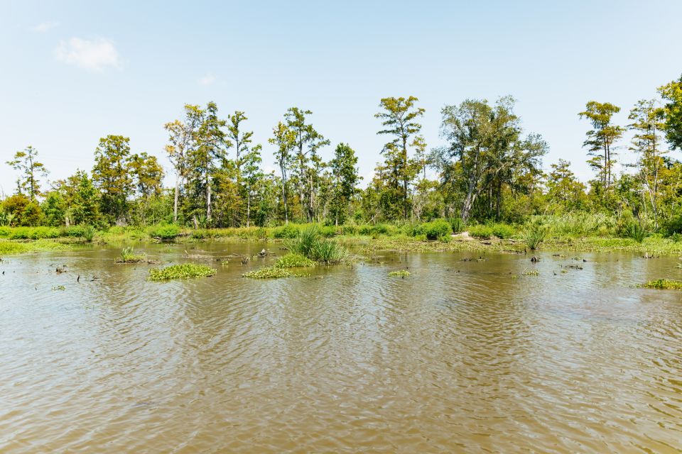 New Orleans: Bayou Tour in Jean Lafitte National Park - Cajun lunch after the cruise: refuel without planning a whole second day