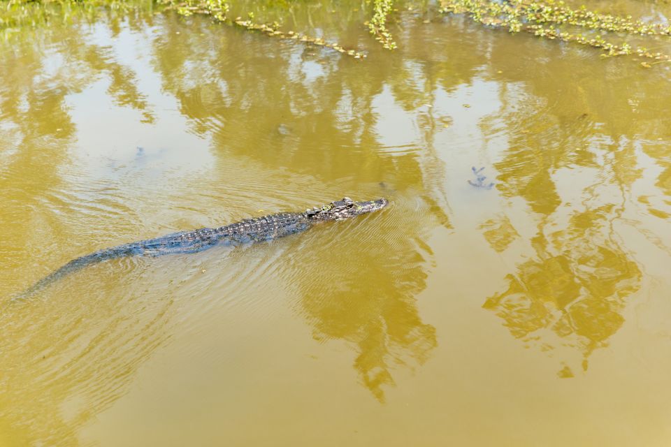 New Orleans: Bayou Tour in Jean Lafitte National Park - Value for $32: why this 90-minute swamp break feels worth it