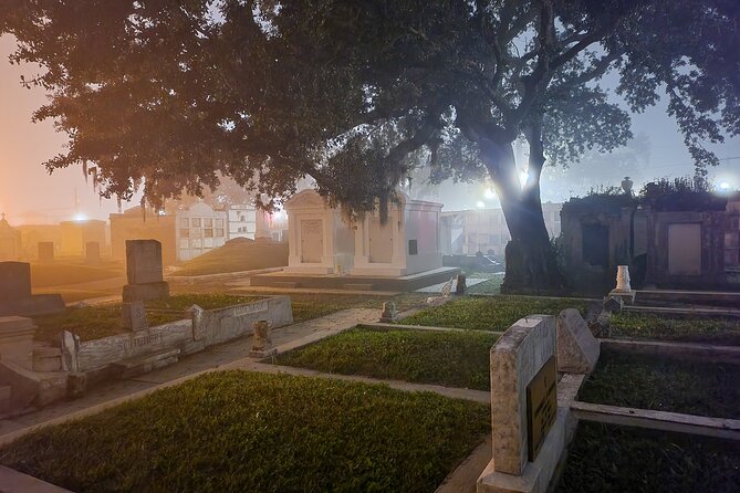 New Orleans Cemetery Bus Tour with Exclusive Cemetery Access - Looking through gates and catching the Charity area at night