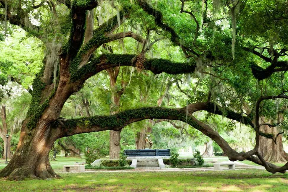 New Orleans: City and Cemetery Bus Tour Garden District Walk - Who should book this tour