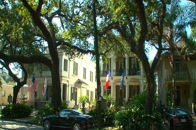 New Orleans City and Cemetery Bus Tour - The “big picture” drive: cathedral views and City Park moments