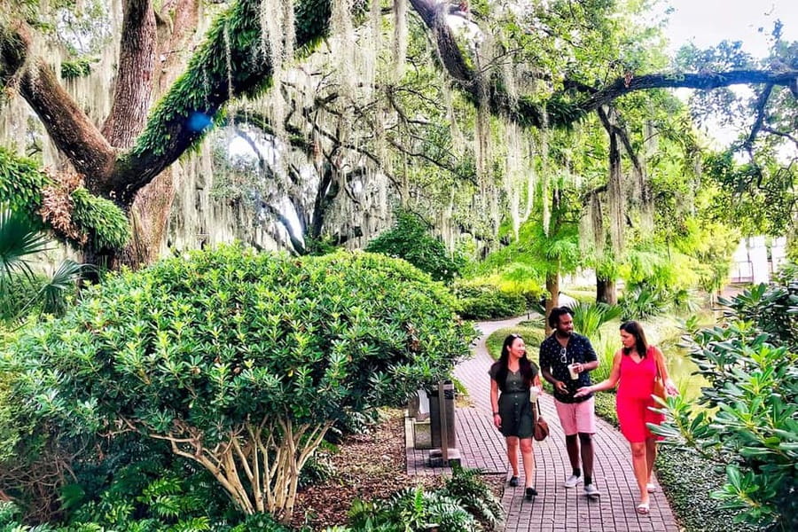 New Orleans: City Tour & Steamboat Daytime Jazz Cruise Combo - Price and value: what $104 buys in a full-day combo