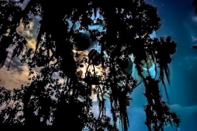 New Orleans: Dead of Night Ghosts and Cemetery Bus Tour - Two Hours, 7 PM or 9:30 PM: How the Timing Shapes the Experience