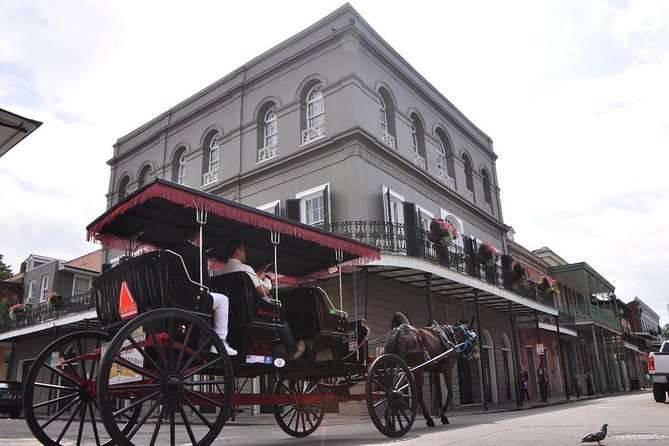 New Orleans French Quarter and More Carriage Ride - Horse and Mule Carriage Comfort in the French Quarter