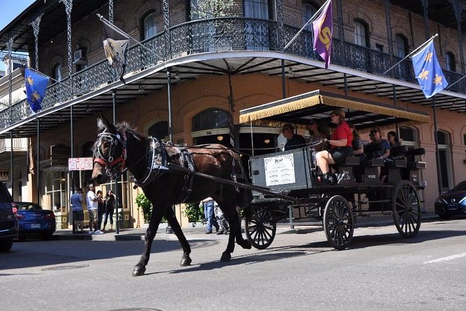 New Orleans French Quarter and More Carriage Ride - Marigny Views: Why This Extra Neighborhood Changes the Story