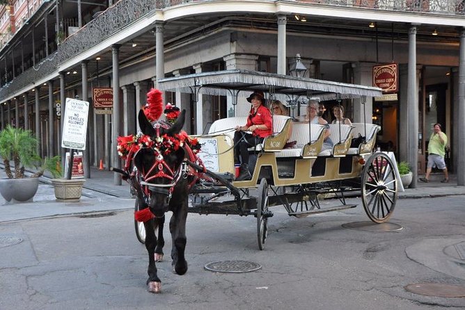 New Orleans French Quarter and More Carriage Ride - Guide Style That Makes the Hour Feel Worth It