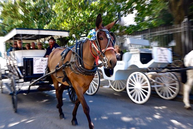 New Orleans French Quarter and More Carriage Ride - Value: Is $65 a Smart Use of Your New Orleans Time?