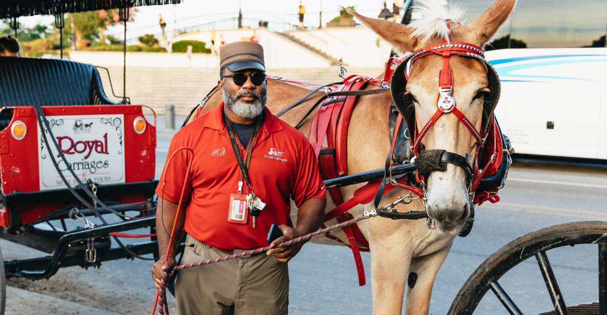 New Orleans: French Quarter Sightseeing Carriage Ride - Practical tips for a smoother ride