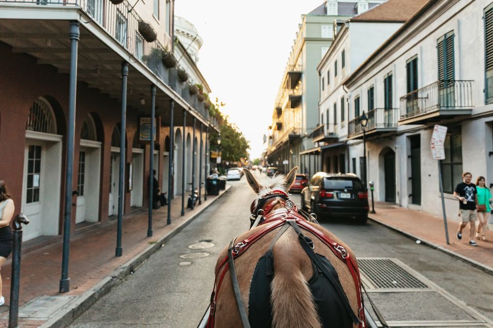 New Orleans: French Quarter Sightseeing Carriage Ride - Napoleon House and the French Market: history you can picture