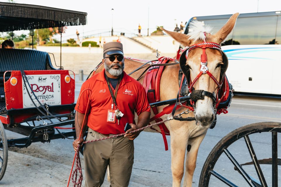 New Orleans: French Quarter Sightseeing Carriage Ride - Your guide matters: humor, real stories, and hearing the narration