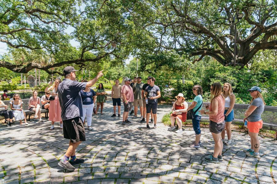 New Orleans: French Quarter, Voodoo and Cultural Experience - Starting at Witches Brew Gallery & Oddities Shop in Exchange Alley