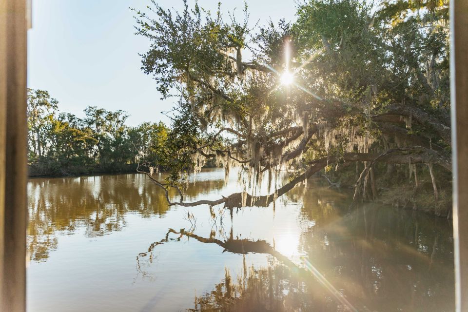 New Orleans: Guided Swamp Cruise by Tour Boat - Getting out of town: the ride from New Orleans to the dock