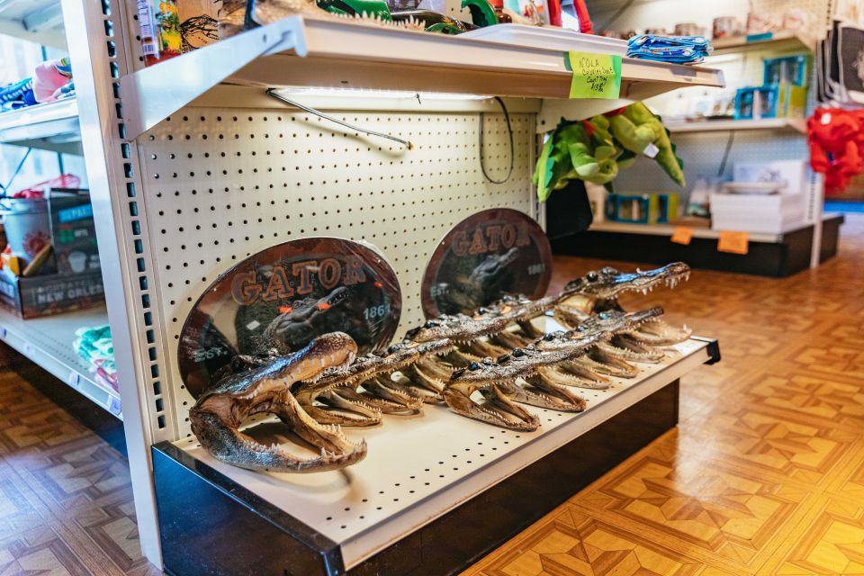 New Orleans: Guided Swamp Cruise by Tour Boat - Price and value: how $35 works for what you get
