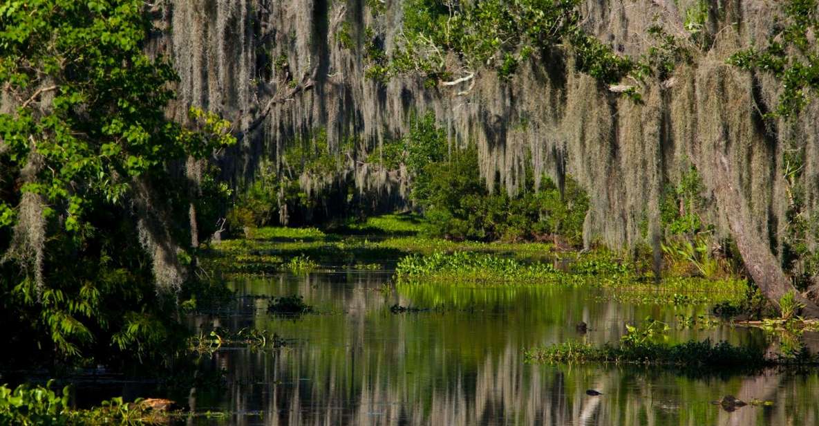 New Orleans: High Speed 16 Passenger Airboat Ride - From Hotel Pickup to the Swamp Dock: The Day Starts Fast