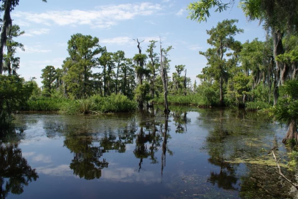 New Orleans: High Speed 16 Passenger Airboat Ride - Jean Lafitte National Historical Park: Why the Setting Matters