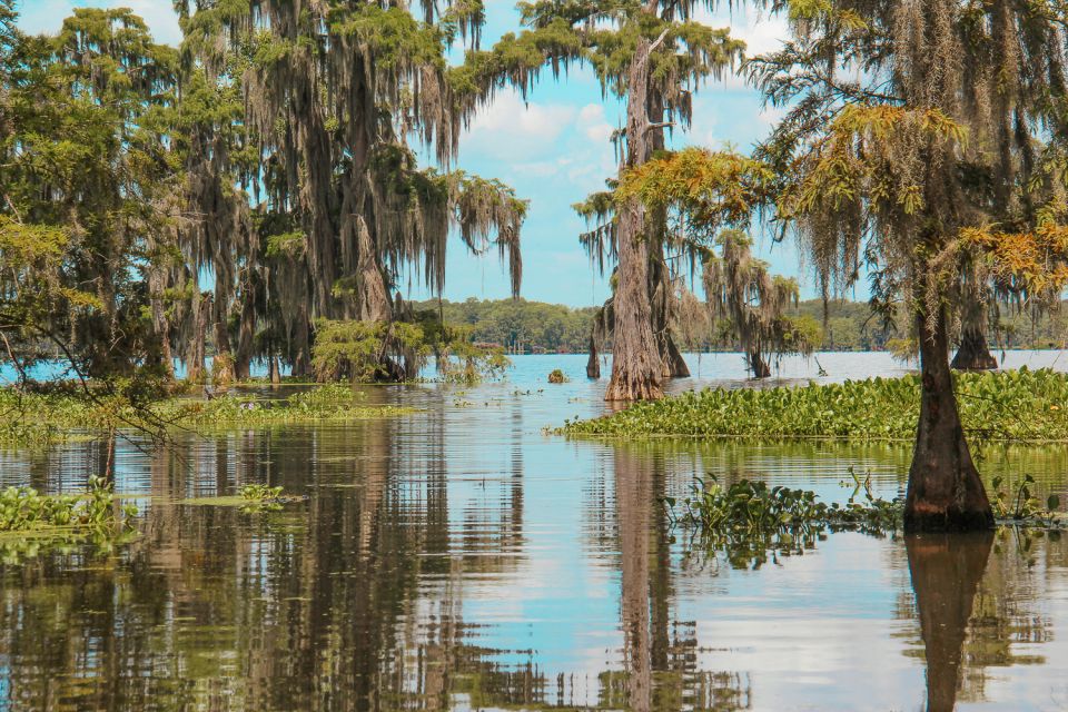 New Orleans: High Speed 9 Passenger Airboat Tour - Safety Rules and Who Should Rethink This Tour